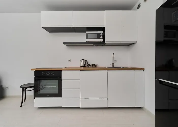 Spacious Dmowskiego By The River With Parking & Balcony By Renters Apartman *